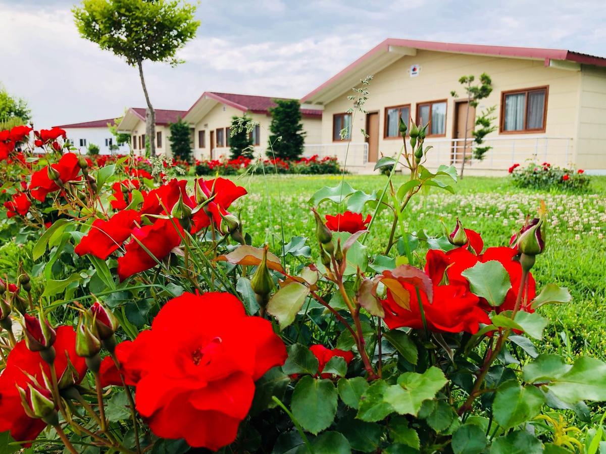 Rizom Tatil Koyu Hotel Samanli Luaran gambar